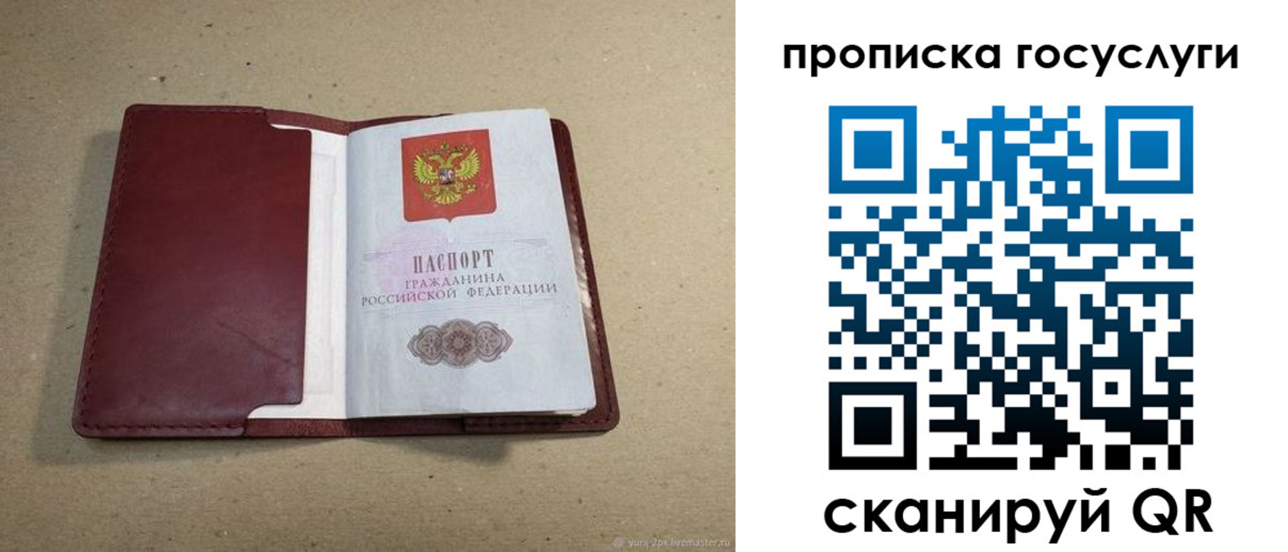 прописка поиск в Томской области